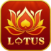 Teen Patti Lotus Customer Care Number